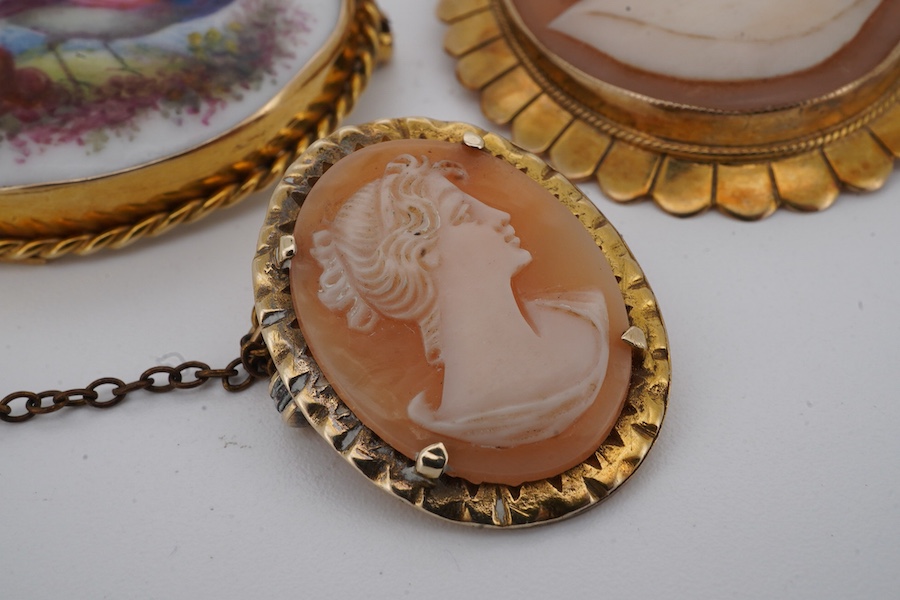 Three brooches, comprising: two shell cameo brooches, each mounted in 9ct gold, largest 4.5cm; and an enamel brooch depicting a pheasant, mounted in gold, length 3.7cm, stamped 9CT
